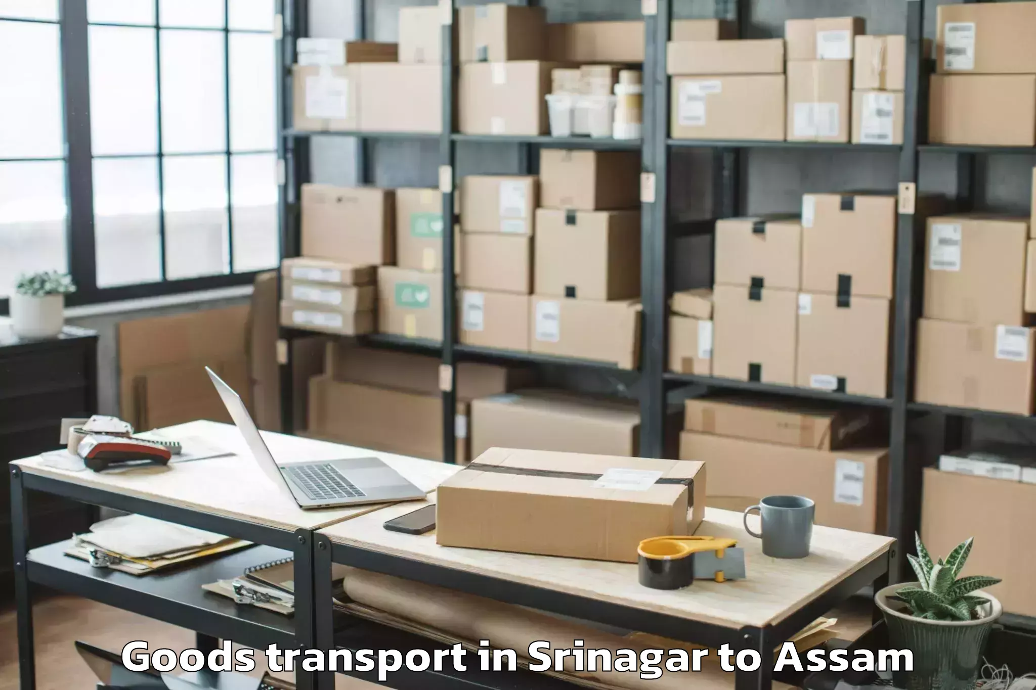 Book Srinagar to North Guwahati Goods Transport